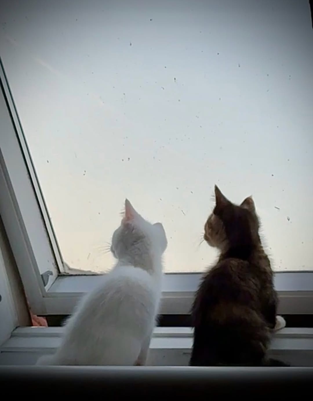 Post 8 by Annette on Instagram (image)