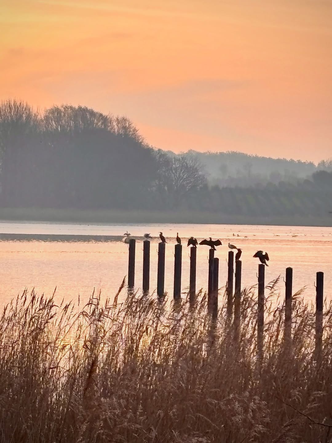 Post 1 by Annette on Instagram (image)
