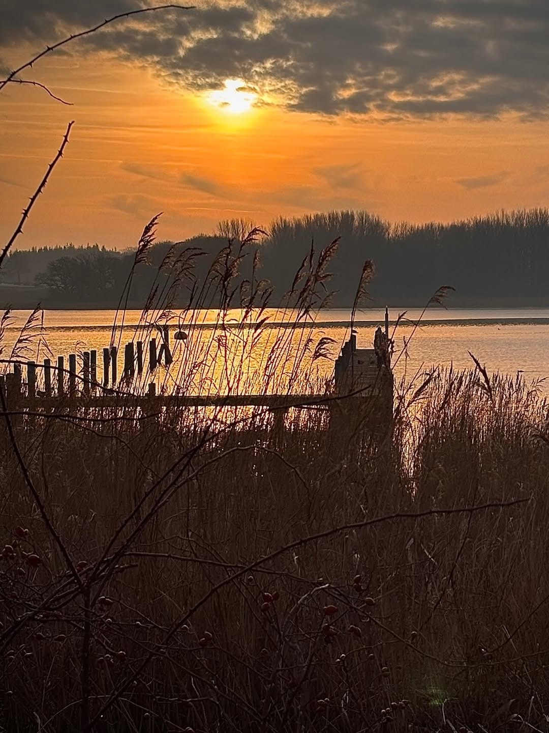Post 2 by Annette on Instagram (image)
