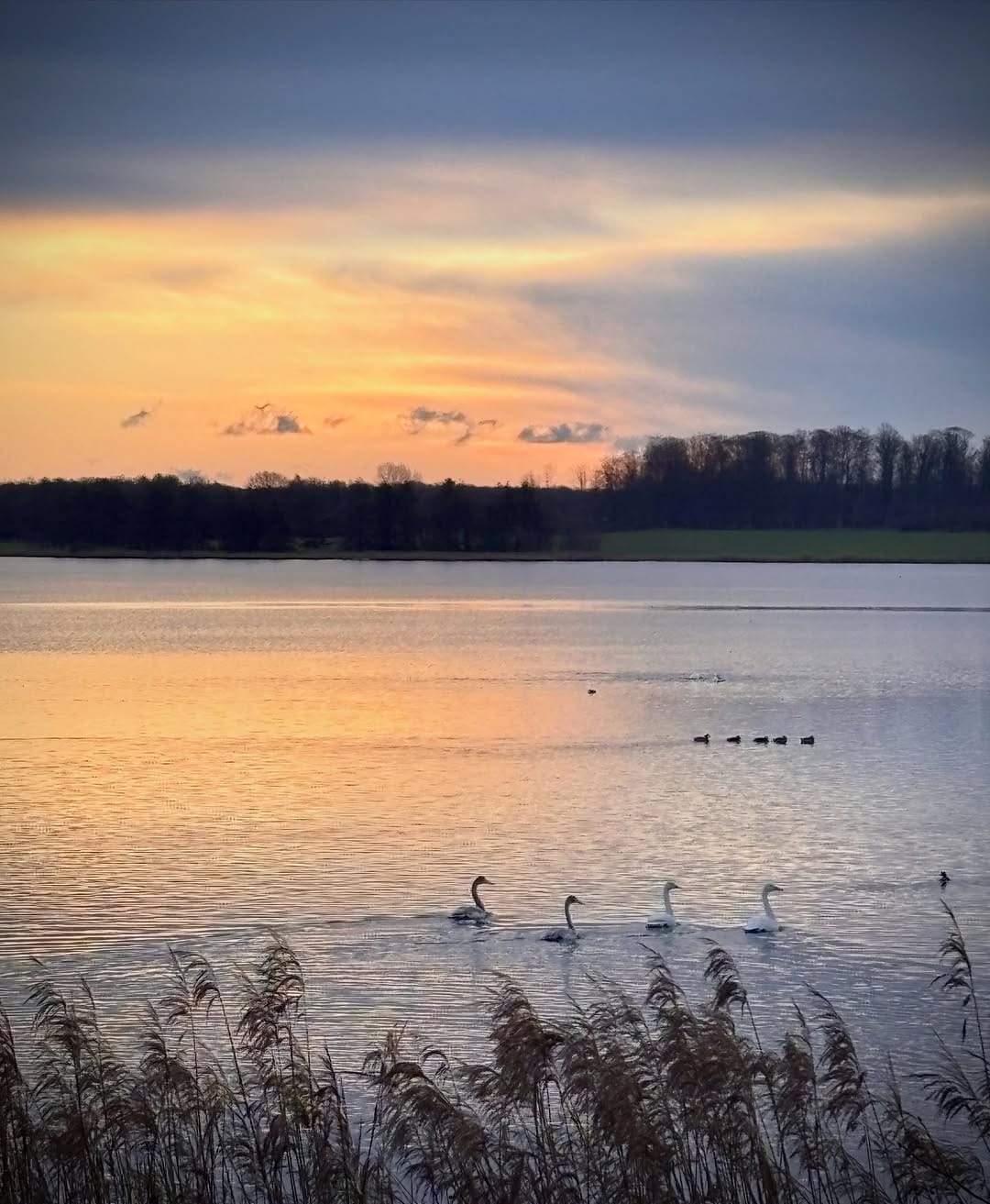 Post 5 by Annette on Instagram (image)