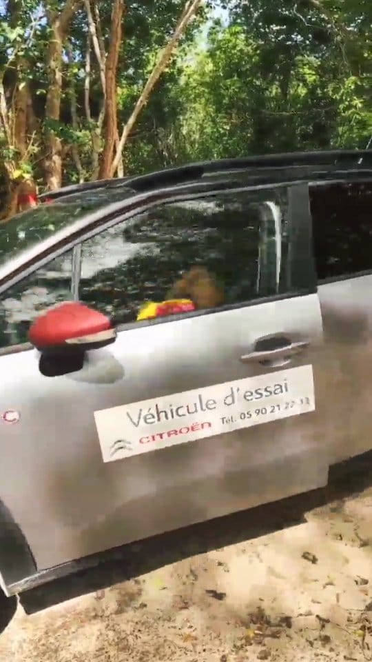 Post 6 by CONSEILLÈRE COMMERCIAL AUTO GUADELOUPE PRO on Instagram (video)