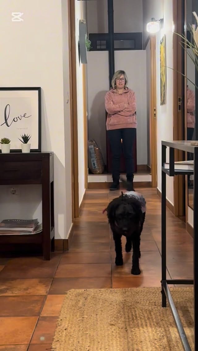Post 1 by Balú & Credence on Instagram (video)