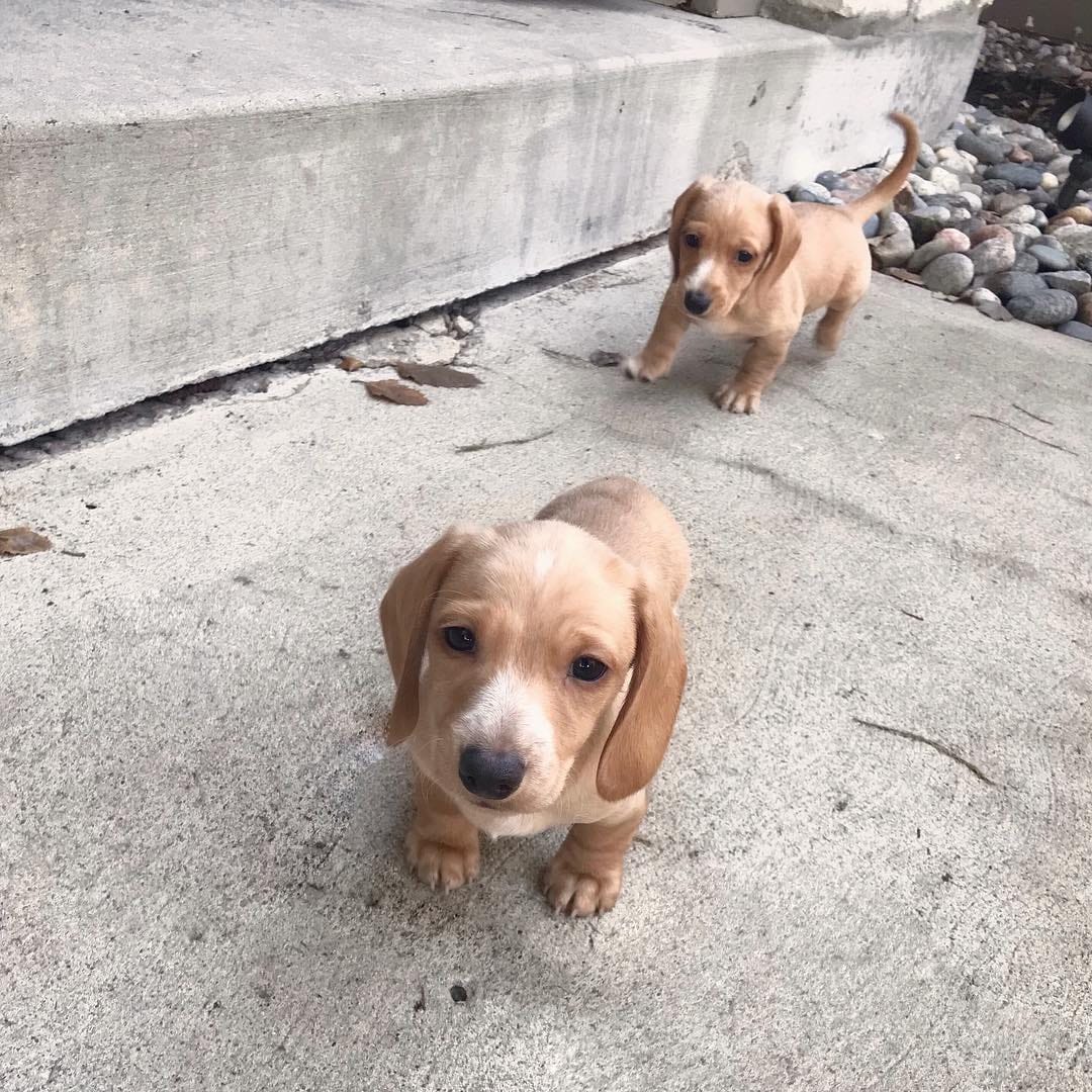 Post 7 by 𝗥𝘆𝗹𝗲𝗲 𝗦𝗲𝗹𝗯𝘆 on Instagram (image)