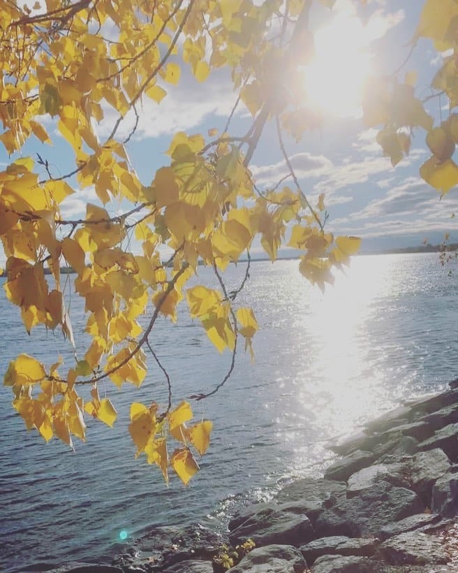 Post 7 by Hala on Instagram (video)