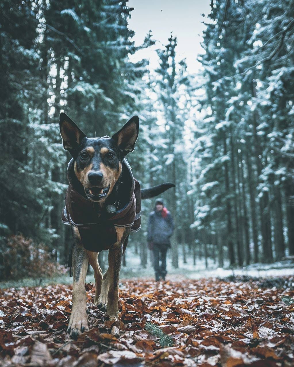 Post 10 by ↟ ๓เςђคєl ↟ | Germany 🏕 on Instagram (image)