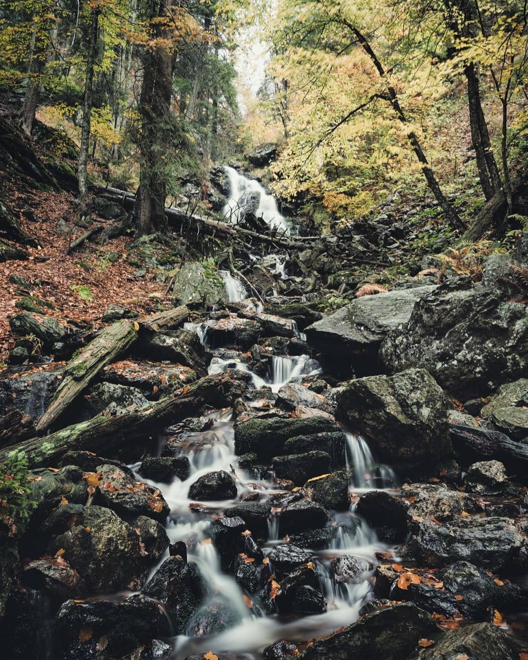 Post 4 by ↟ ๓เςђคєl ↟ | Germany 🏕 on Instagram (image)