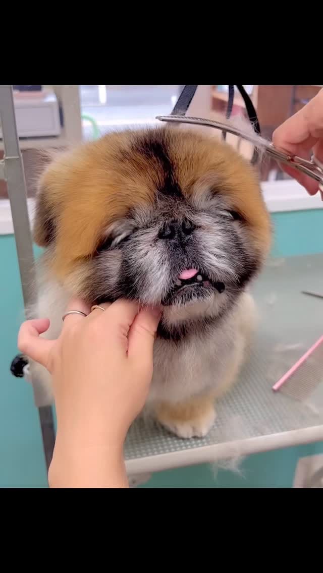 Post 3 by Nori Nori on Instagram (video)