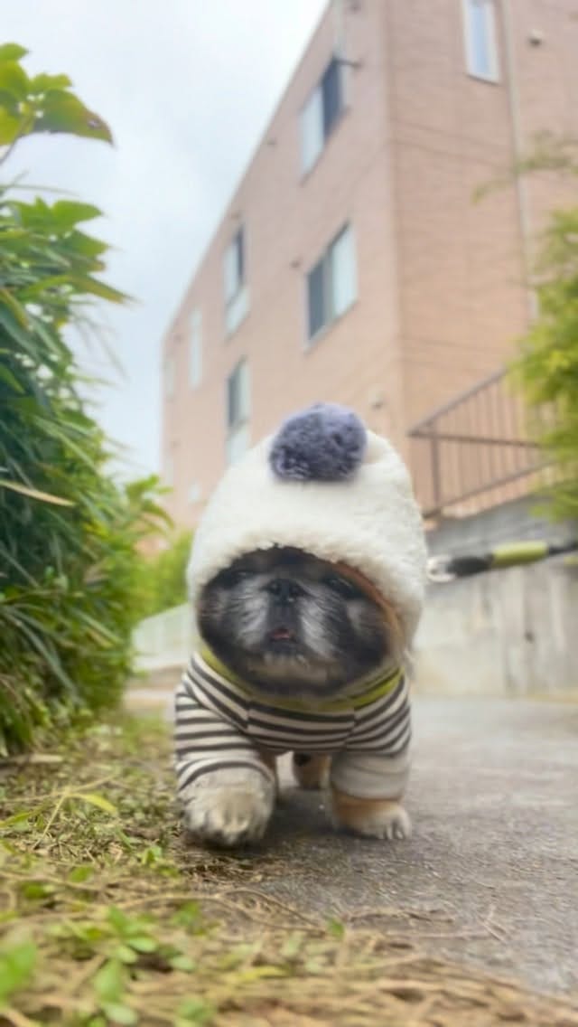 Post 1 by Nori Nori on Instagram (video)