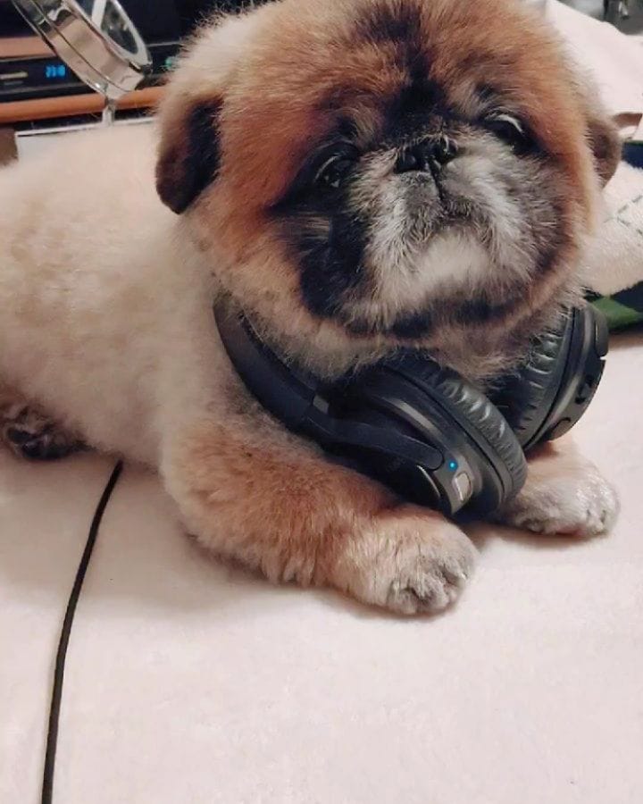 Post 10 by Nori Nori on Instagram (carousel)