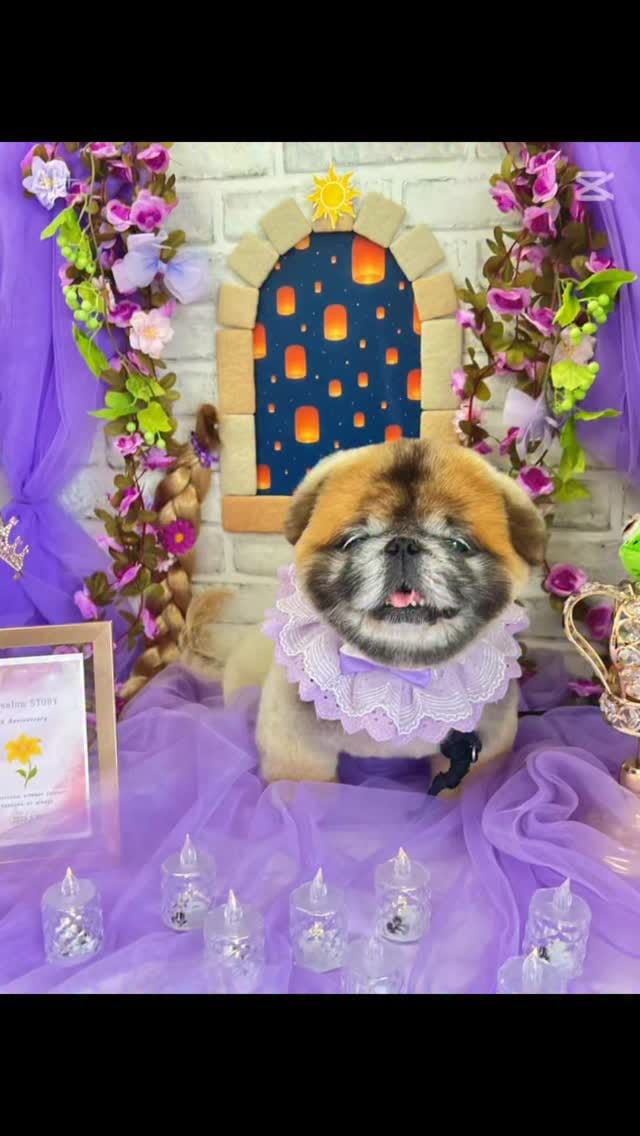 Post 2 by Nori Nori on Instagram (video)