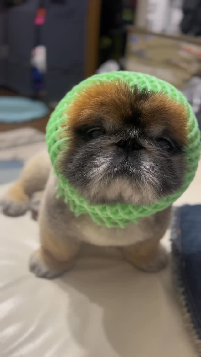 Post 6 by Nori Nori on Instagram (video)