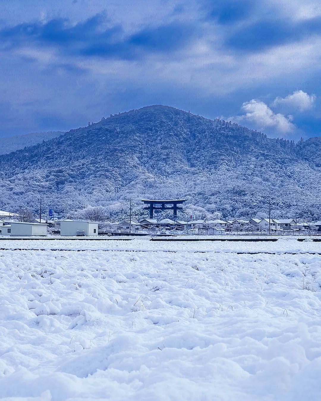 Post 8 by nov.aki on Instagram (image)
