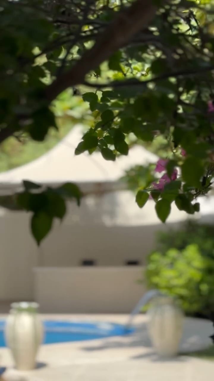 Post 6 by 𝒰𝒶𝑒_𝑒𝓎𝑒𝓈 on Instagram (video)