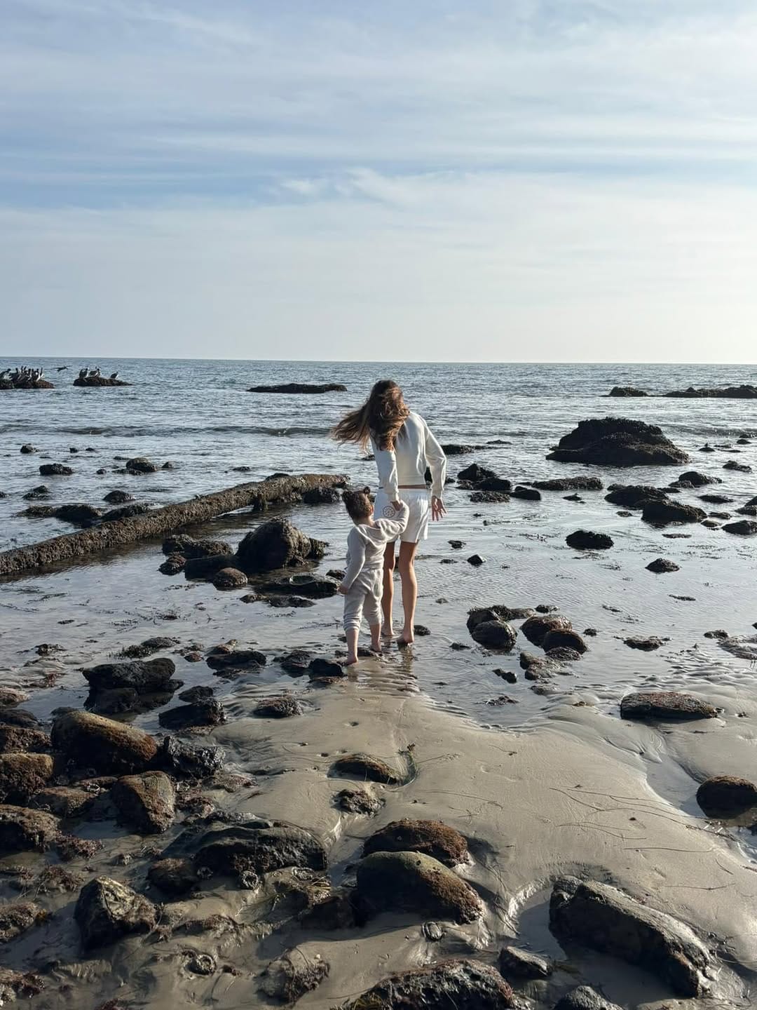 Post 7 by Zorana Kuzmanovic Rappaport 🧿 on Instagram (carousel)
