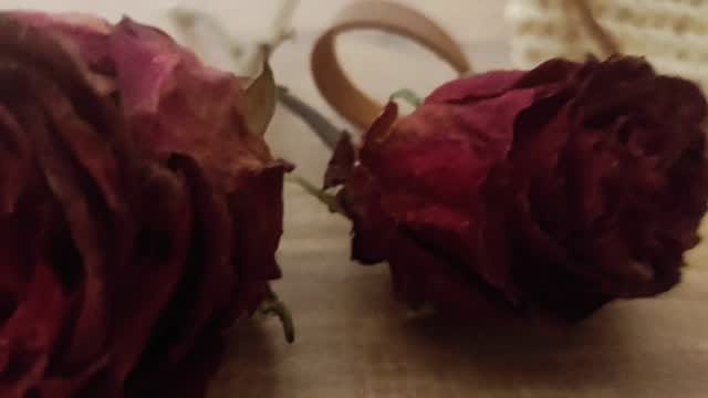 Post 10 by seyma on Instagram (video)