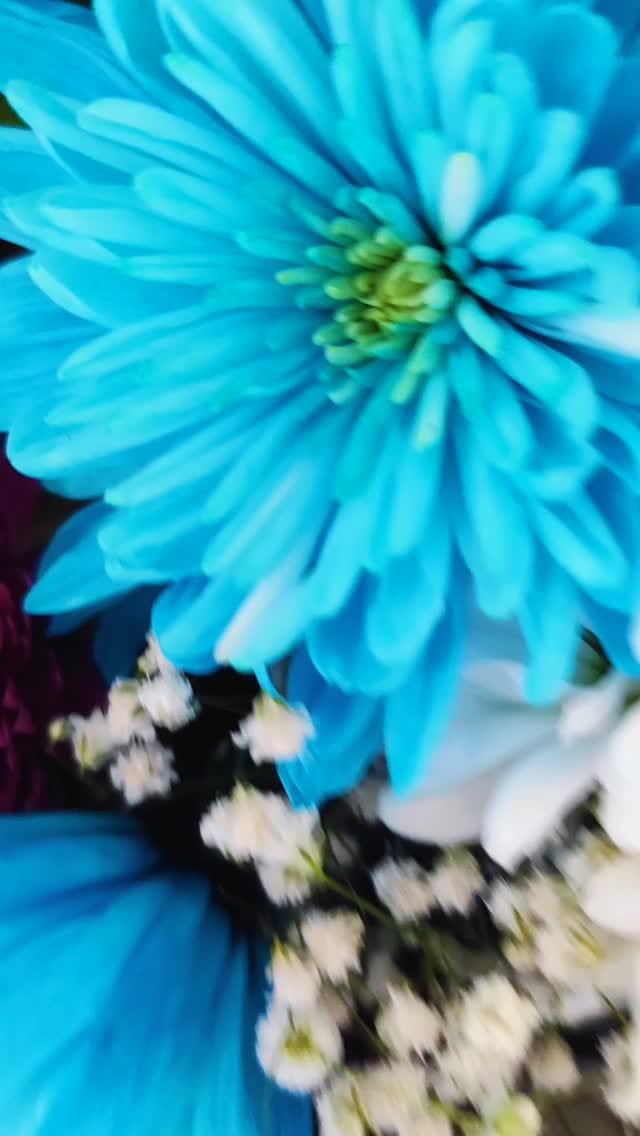 Post 2 by seyma on Instagram (video)