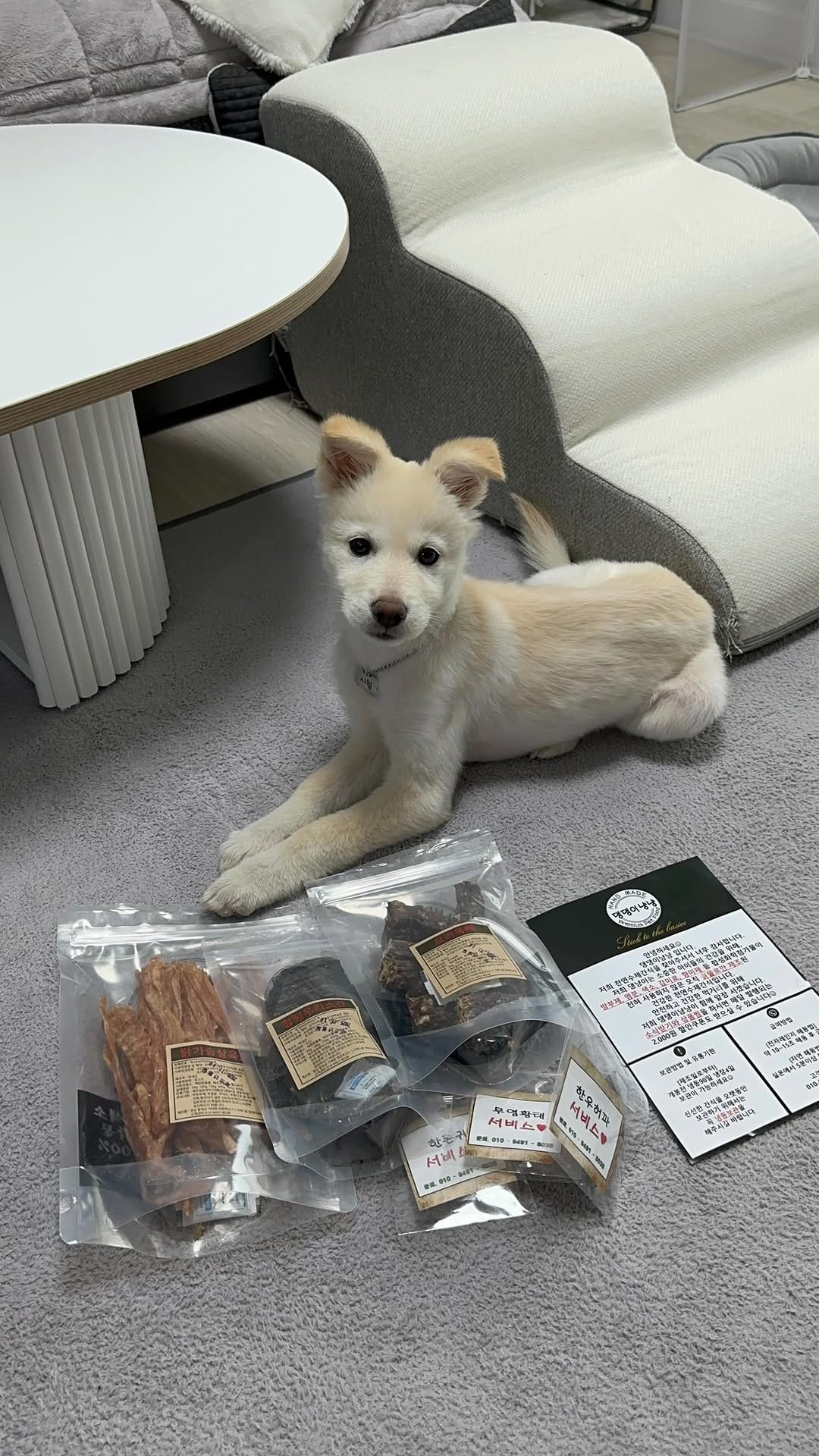 Post 1 by 댕댕이냥냥 강아지 고양이 수제간식전문점 on Instagram (video)