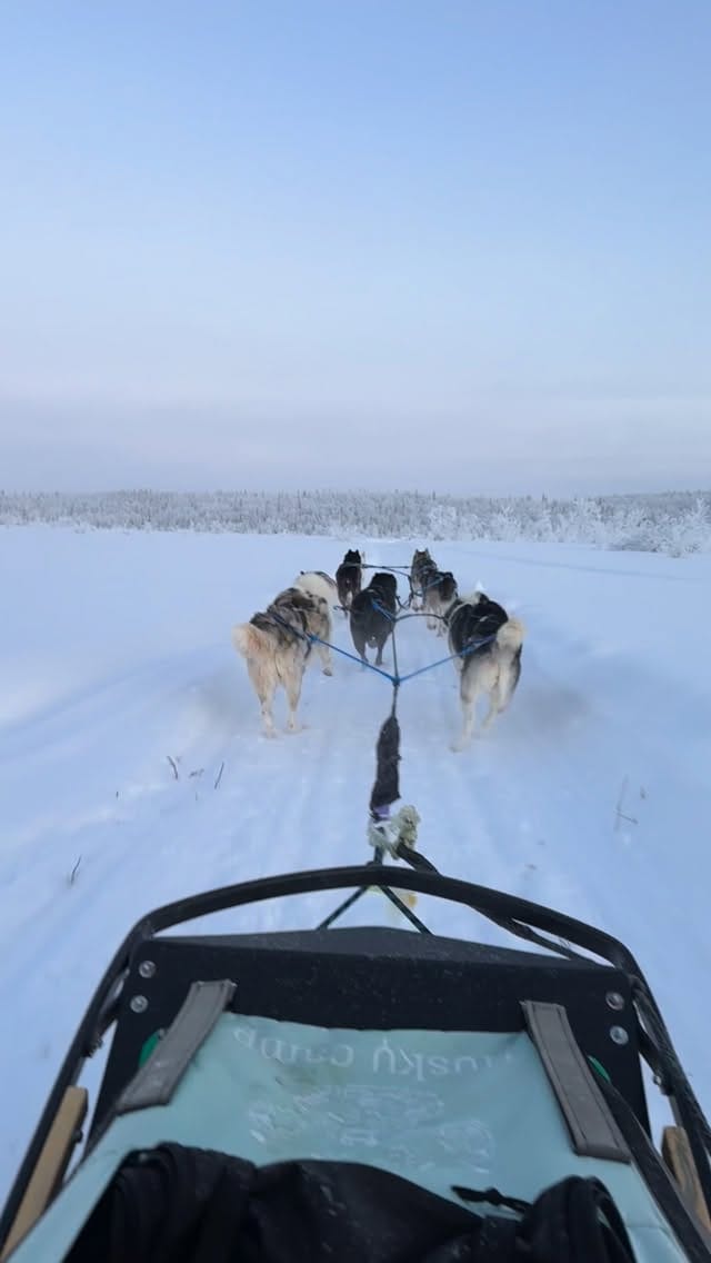 Post 6 by ALEKSANDRA SYROMAKHO on Instagram (video)