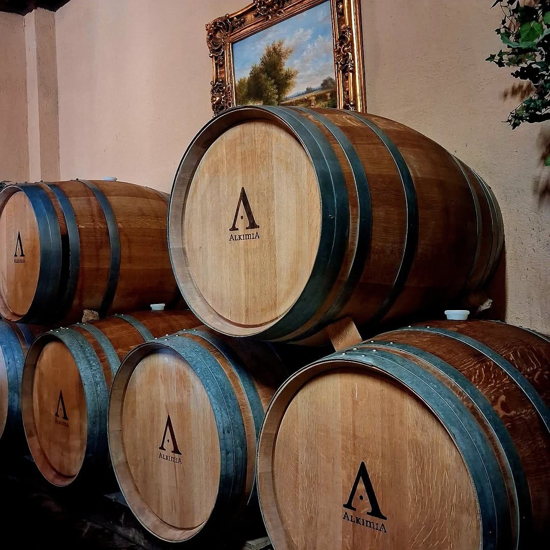 Post 6 by ALKIMIA WINES on Instagram (image)