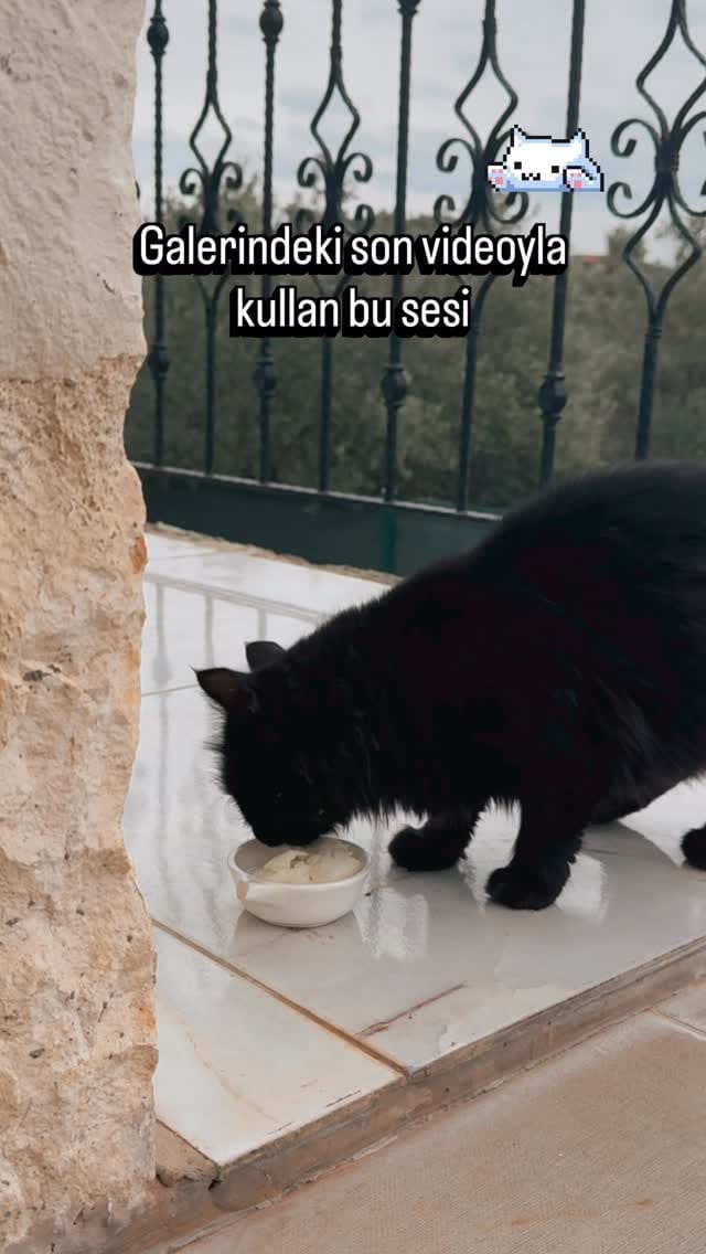 Post 2 by Sevin on Instagram (video)