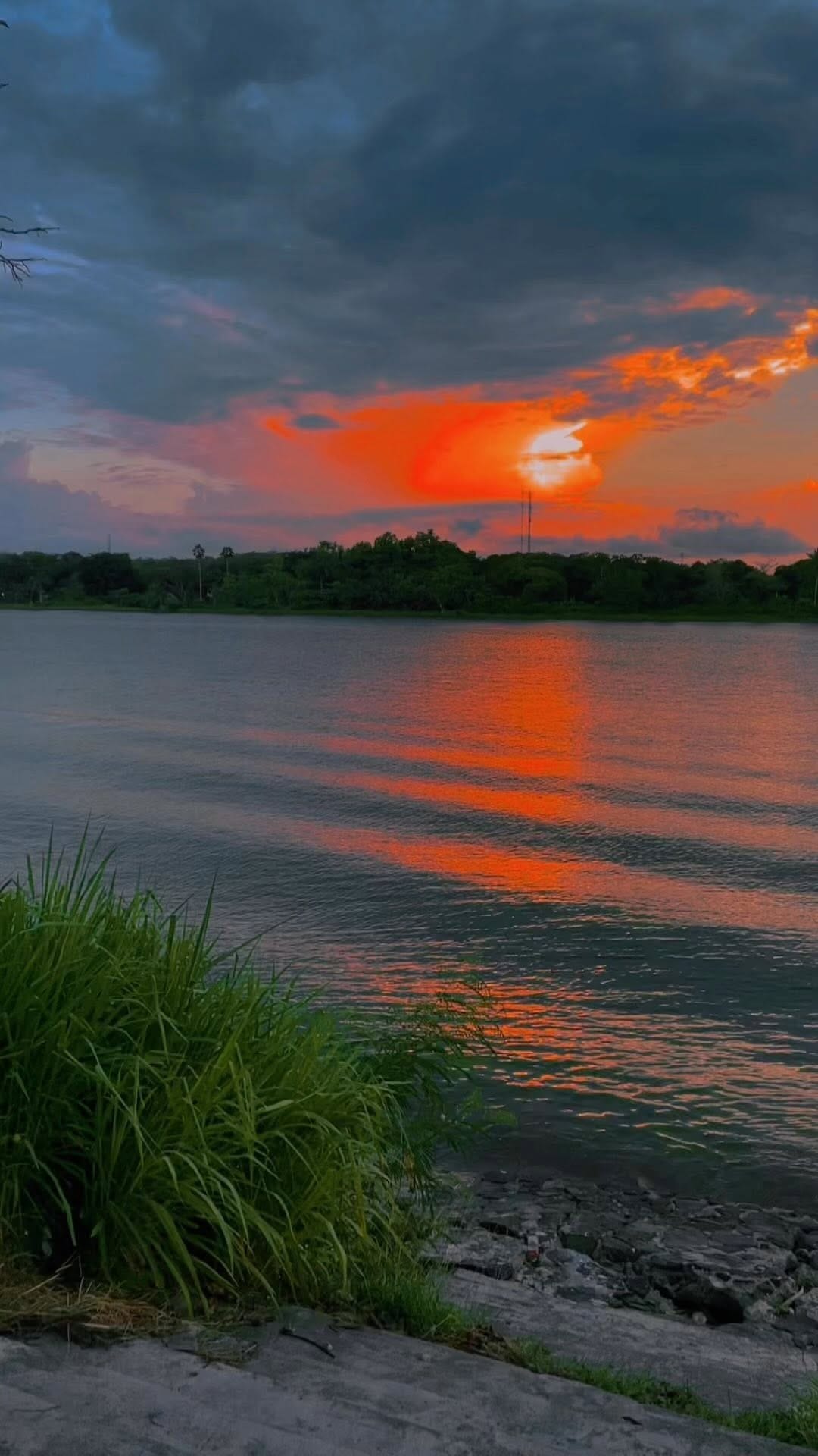 Post 3 by O S C A R   S A L V A D O R on Instagram (video)