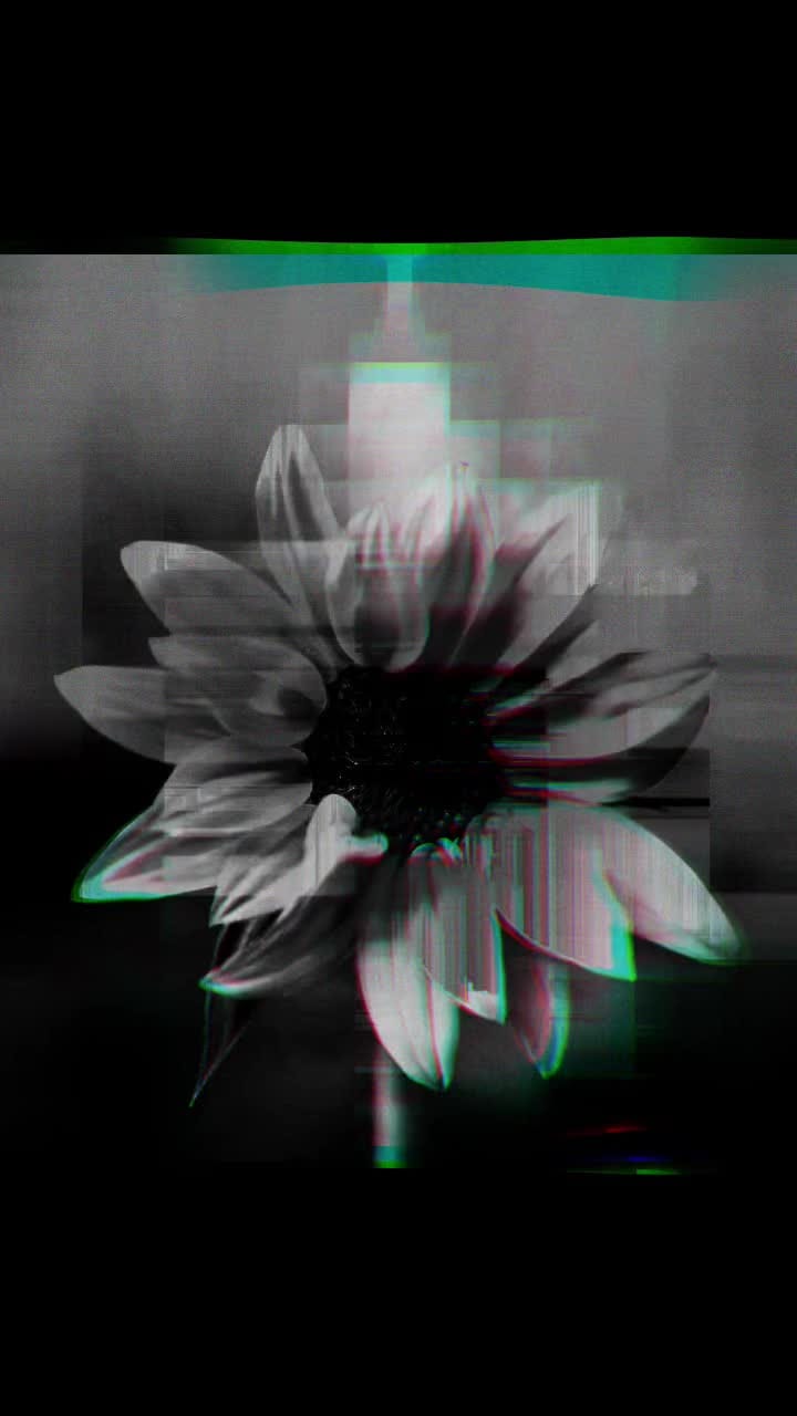 Post 1 by Tomaz Favilla on Instagram (video)