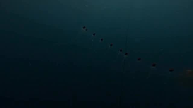 Post 3 by Diego Cadena on Instagram (video)