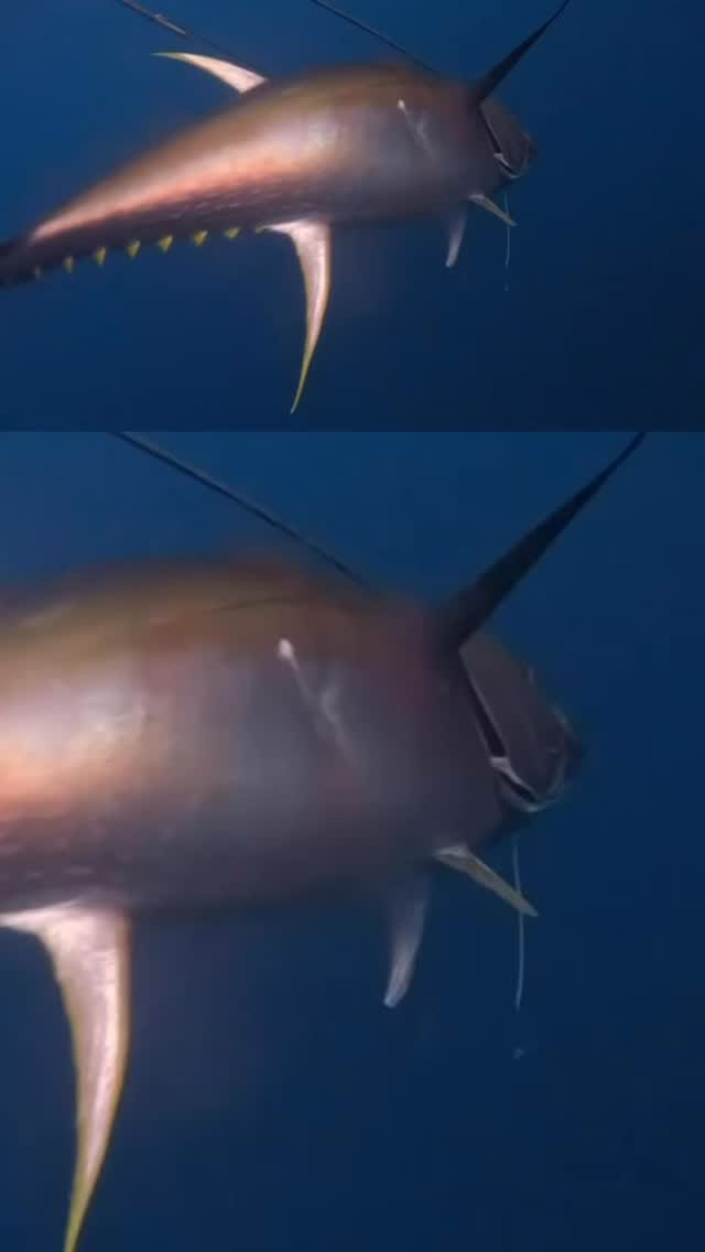Post 5 by Diego Cadena on Instagram (video)