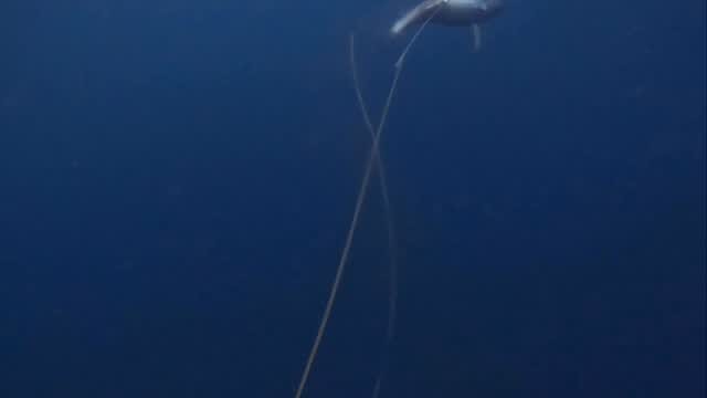 Post 4 by Diego Cadena on Instagram (video)