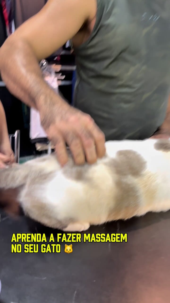 Post 10 by Mega Suplementos - Seu🌎Fitness on Instagram (video)