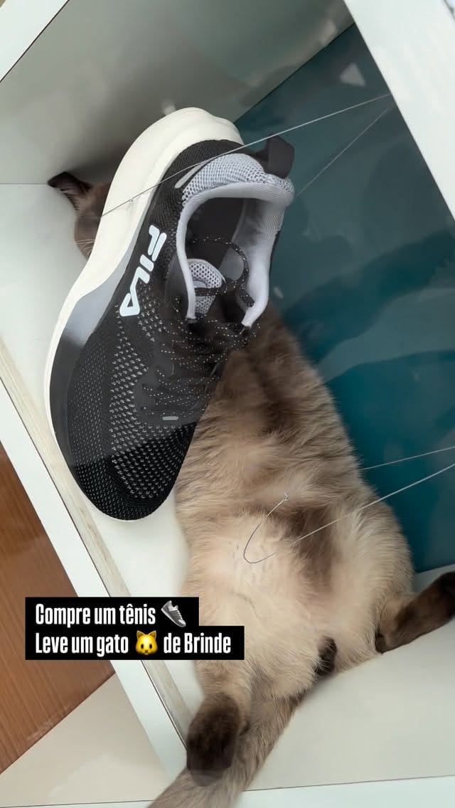 Post 8 by Mega Suplementos - Seu🌎Fitness on Instagram (video)