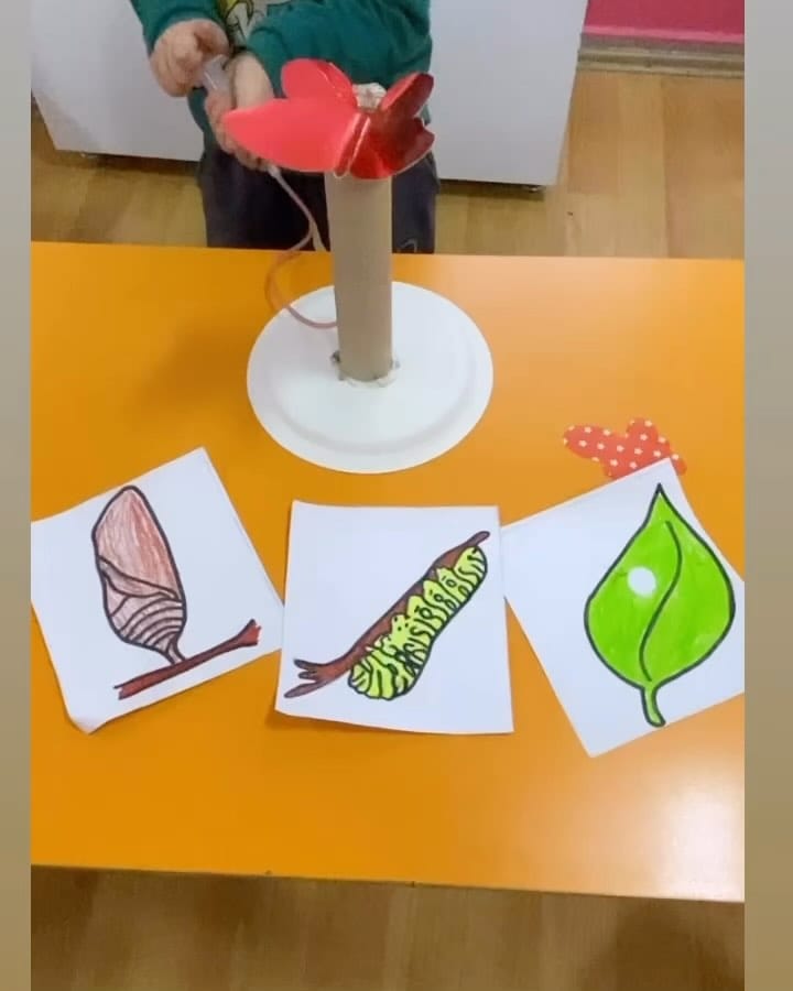 Post 8 by Neşe BOSTANCI on Instagram (video)