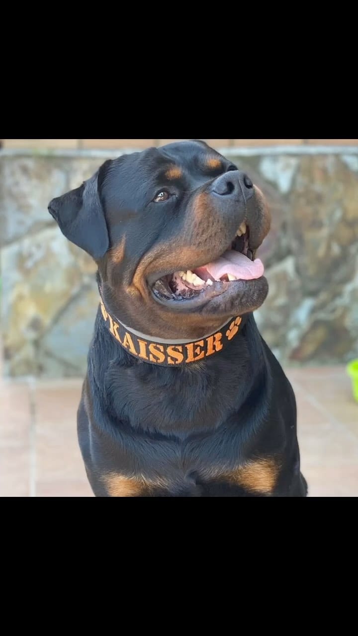 Post 8 by Kaisser on Instagram (video)