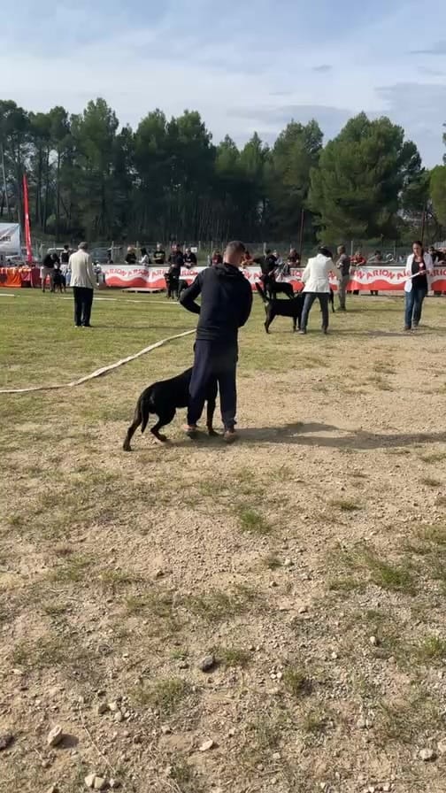 Post 2 by Kaisser on Instagram (video)