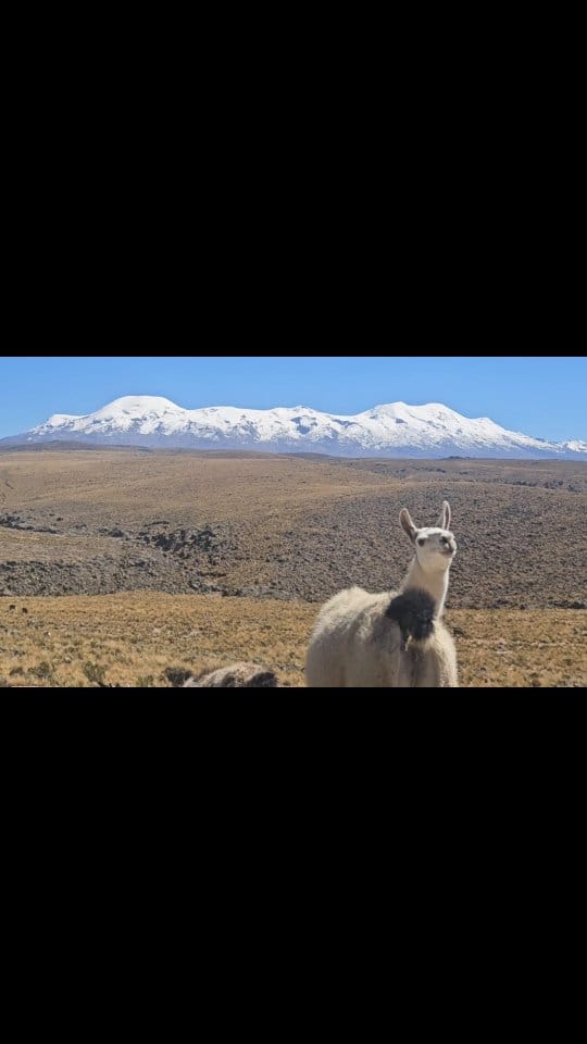 Post 1 by Lucas Quintero on Instagram (video)