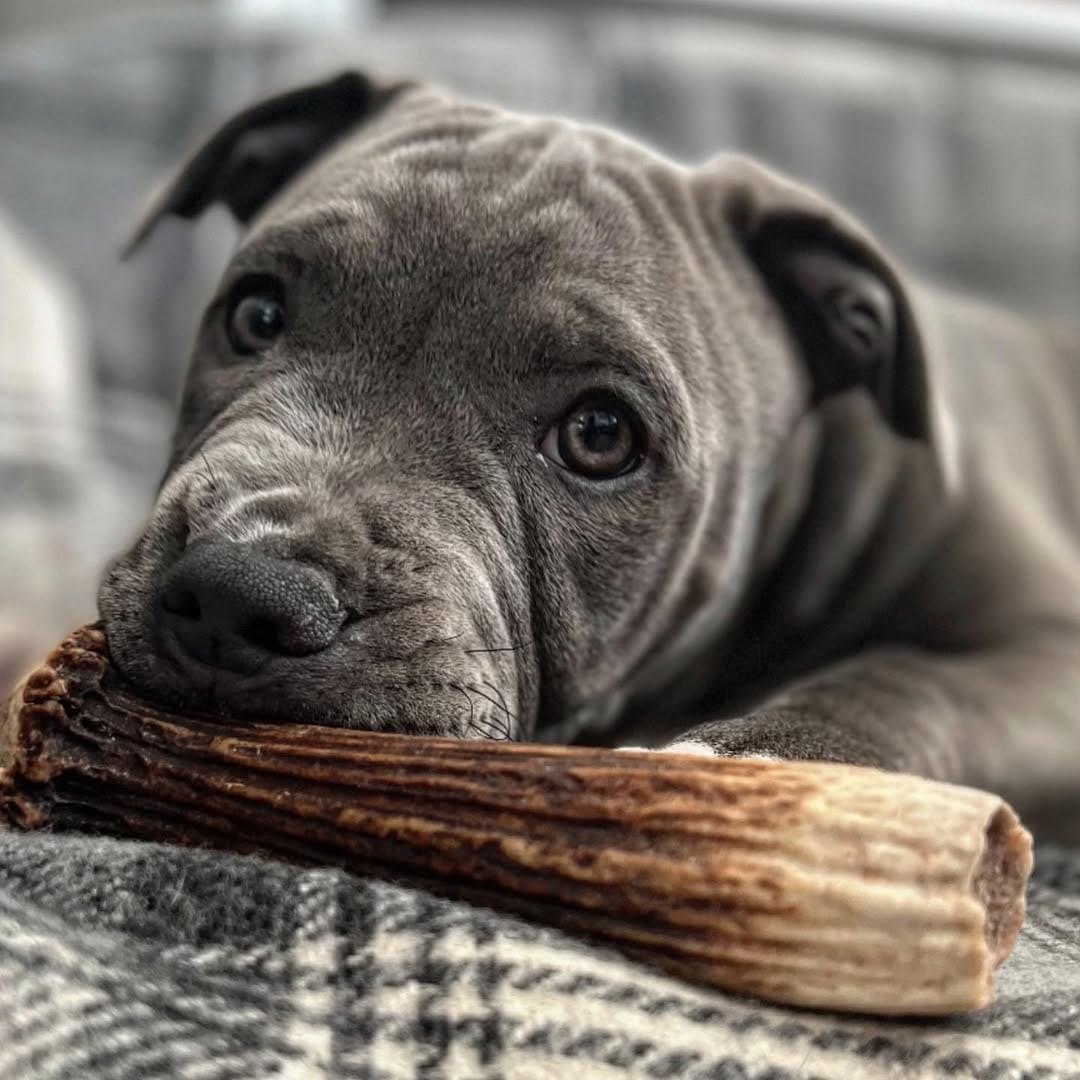 Post 2 by Sam Potter on Instagram (carousel)
