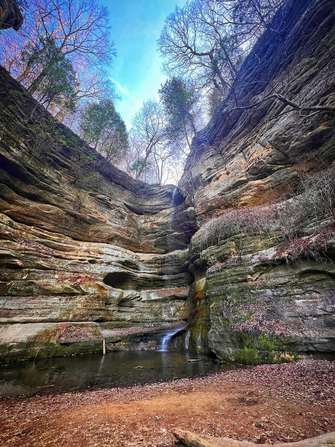 Post 10 by Jes Tan on Instagram (image)