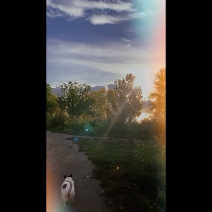 Post 5 by Сама спортивна Інночка 🇺🇦 on Instagram (video)
