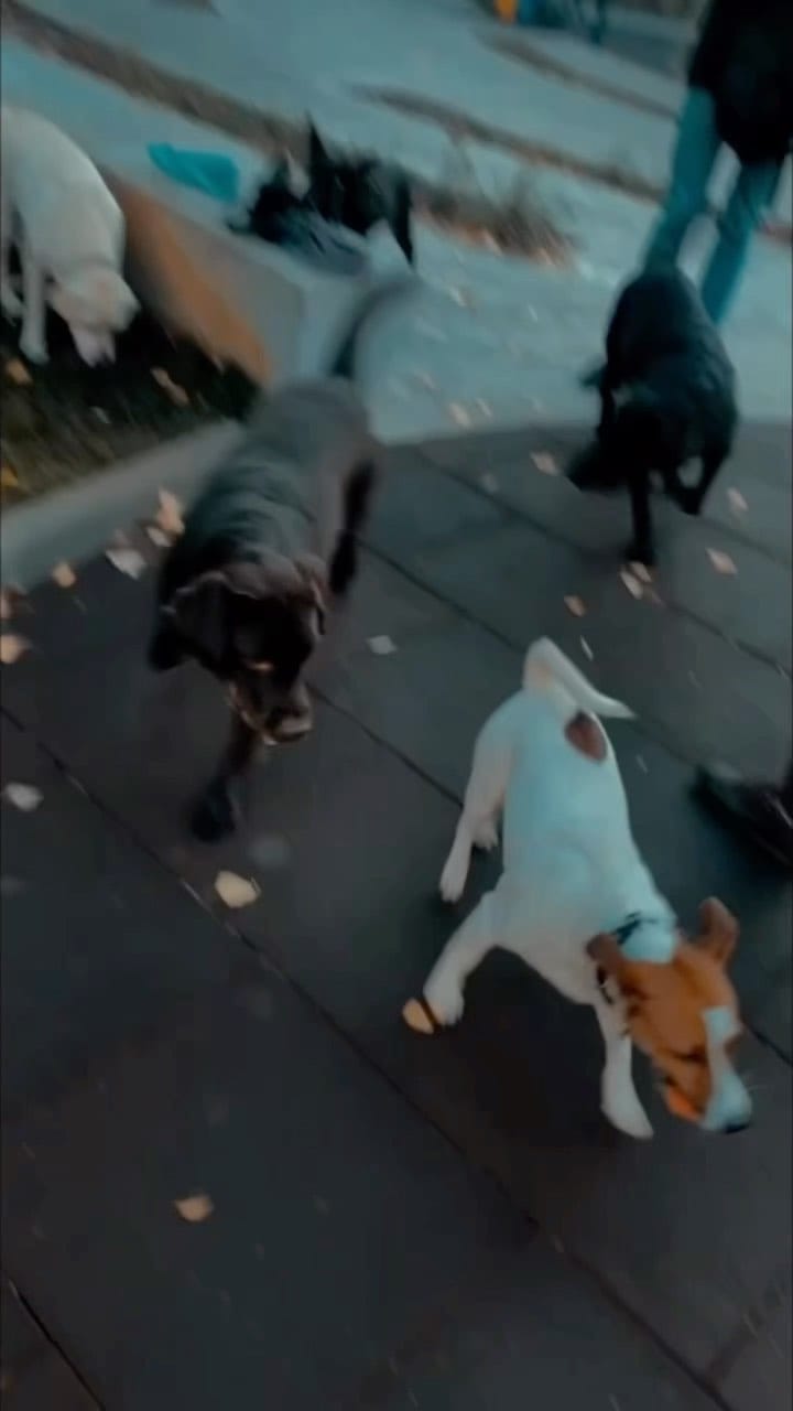 Post 4 by Сама спортивна Інночка 🇺🇦 on Instagram (video)