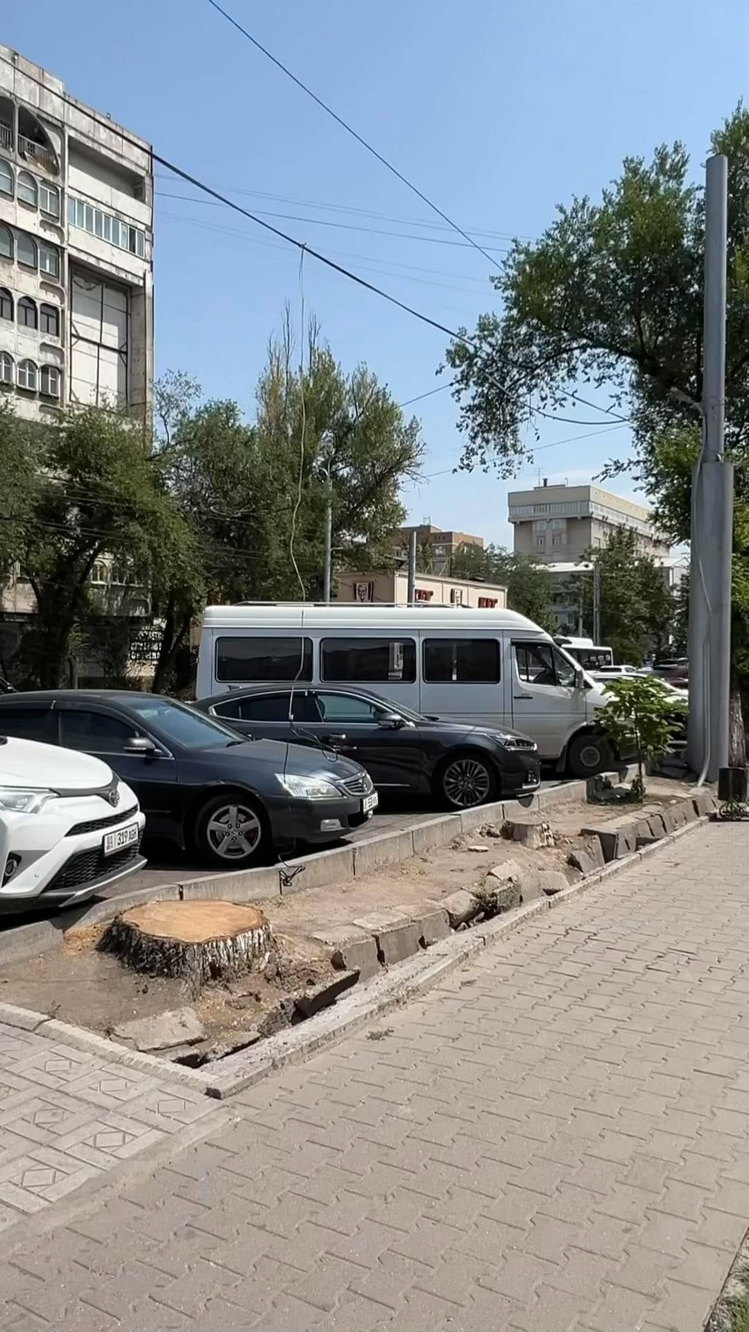 Post 10 by Татьяна Посуда on Instagram (video)