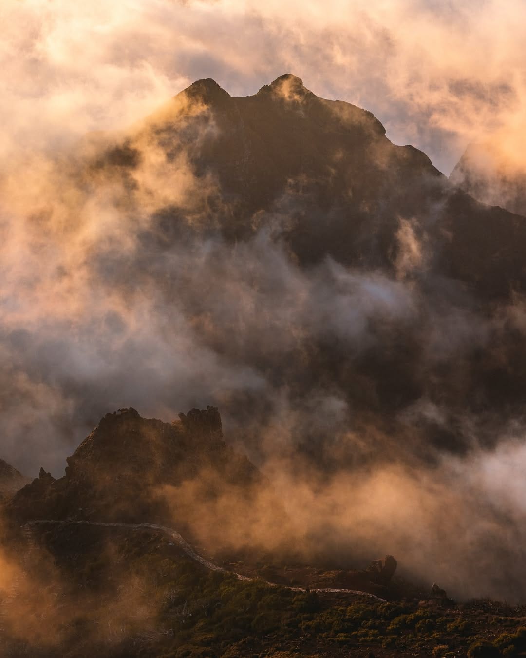 Post 3 by Nico Schuth | Nature Photography on Instagram (image)