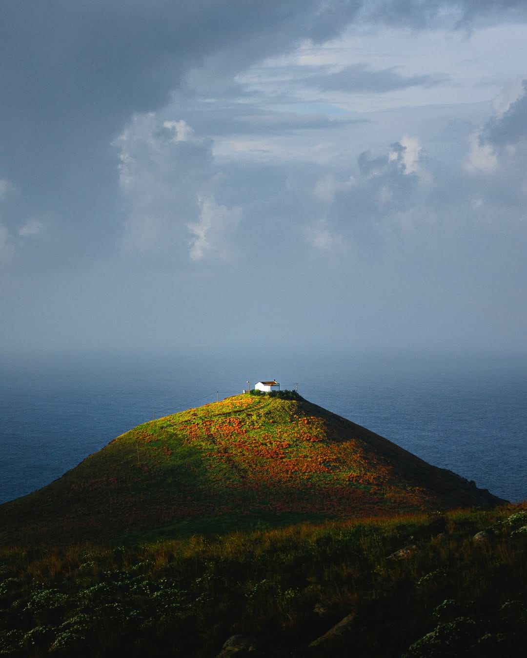 Post 4 by Nico Schuth | Nature Photography on Instagram (image)