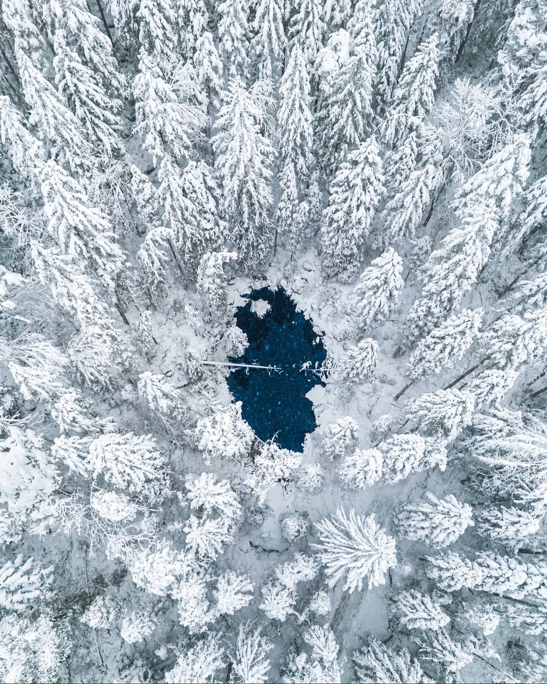 Post 8 by Nico Schuth | Nature Photography on Instagram (image)