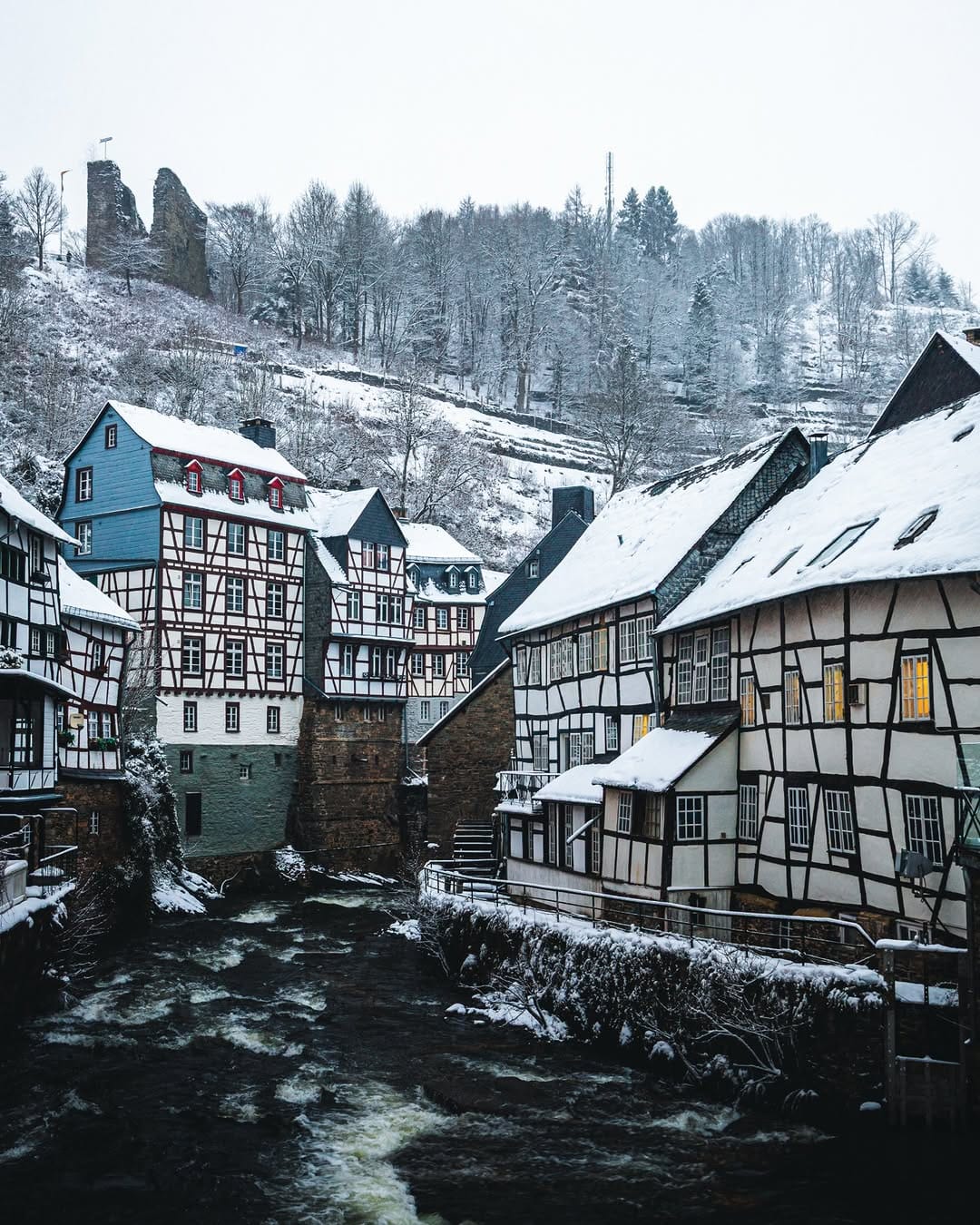 Post 9 by Nico Schuth | Nature Photography on Instagram (image)
