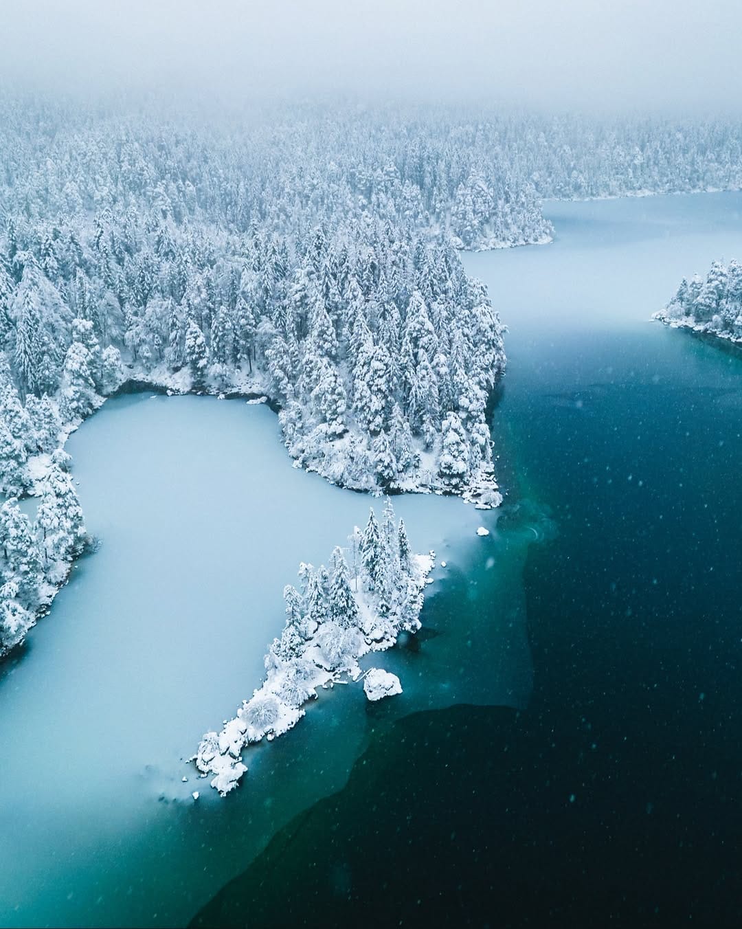 Post 10 by Nico Schuth | Nature Photography on Instagram (image)