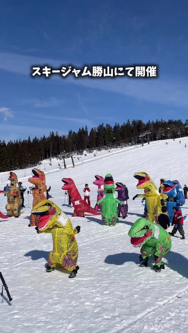 Post 3 by 勝山DMO【福井・恐竜博物館🦖周辺】お出かけ情報まとめ on Instagram (video)
