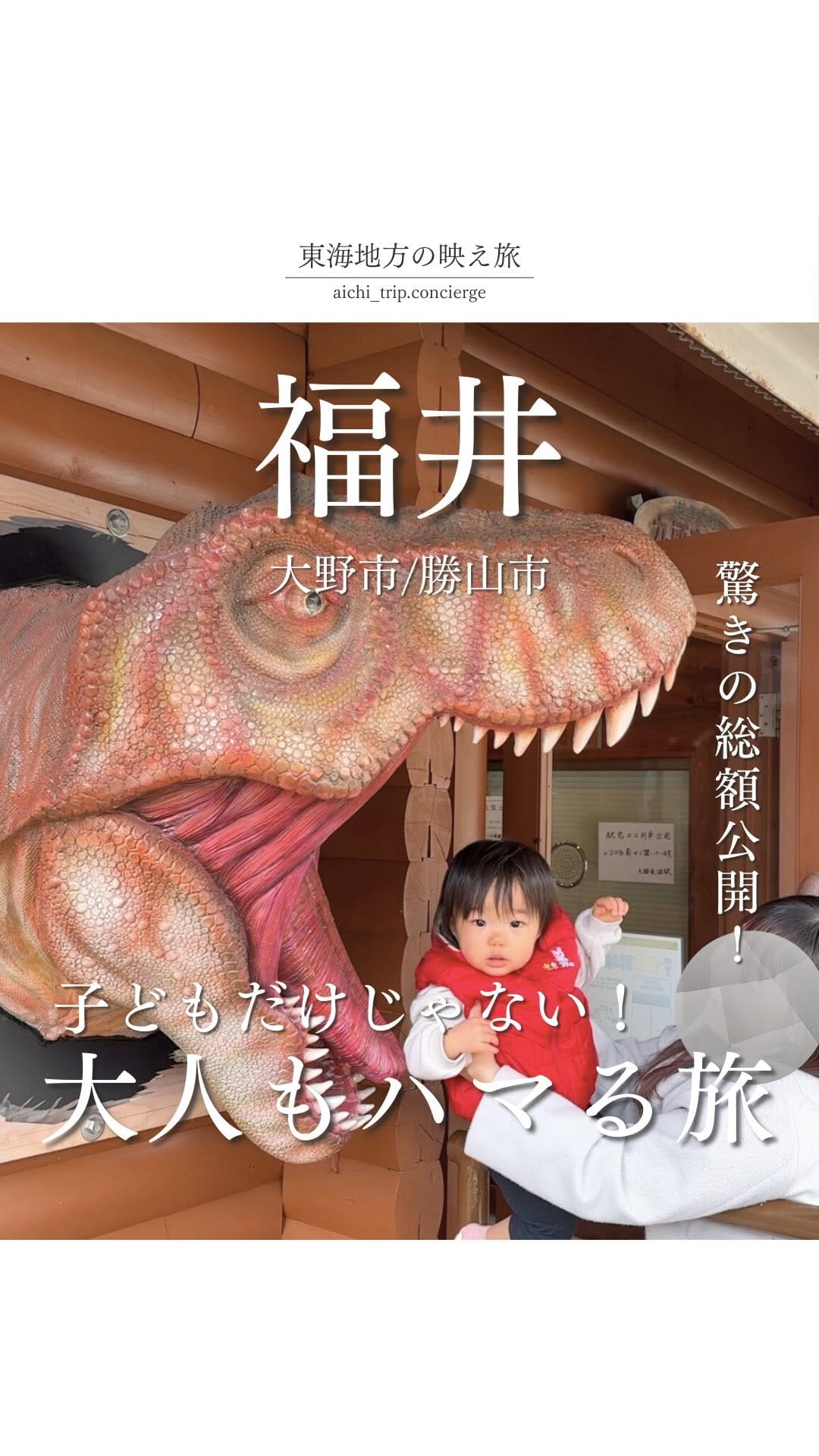 Post 6 by 勝山DMO【福井・恐竜博物館🦖周辺】お出かけ情報まとめ on Instagram (video)