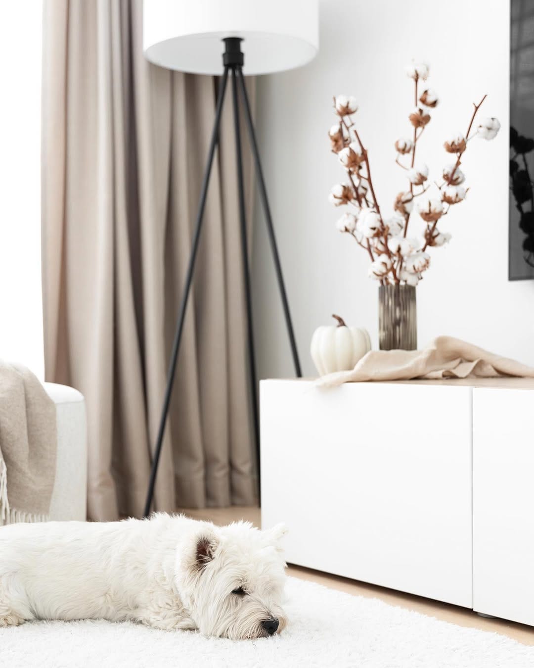 Post 8 by Agnetha | Home & interior on Instagram (image)