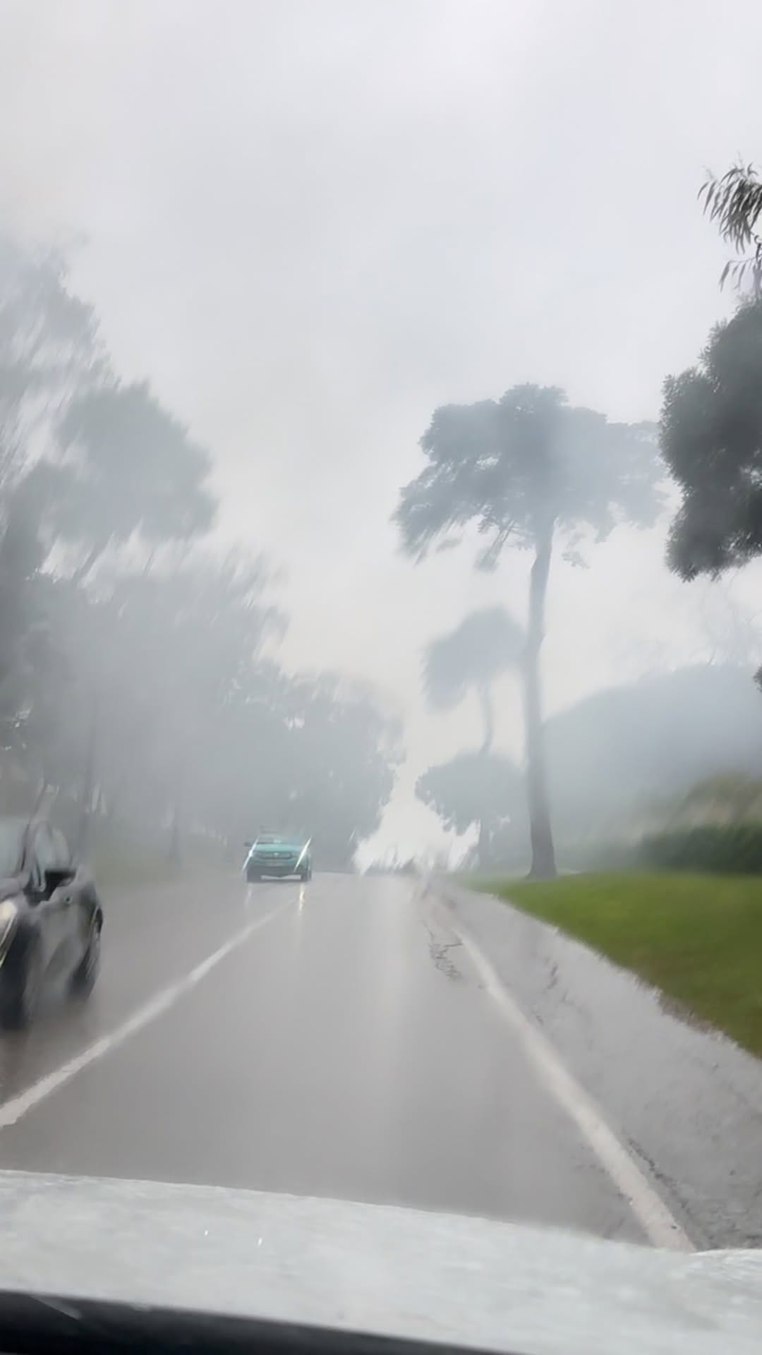 Post 2 by Ali Abdullah Alshehhi on Instagram (video)