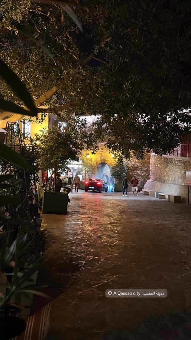 Post 5 by Ali Abdullah Alshehhi on Instagram (video)